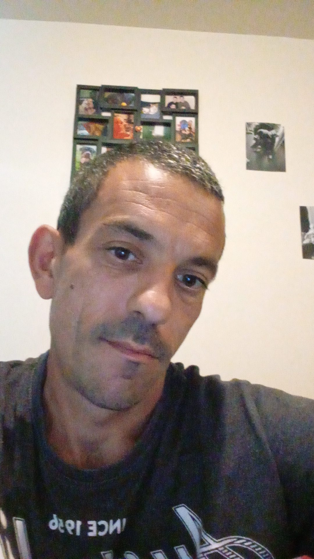 Profil de Stelian
